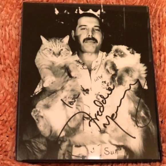 FREDDIE MERCURY 8X10 Framed Photo Autographed With His CATS! - Picture 1 of 7